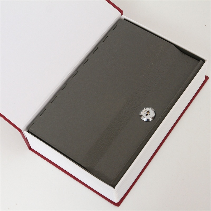 Caja de Seguridad de Metal par - Home Office Dictionary reseña y precio