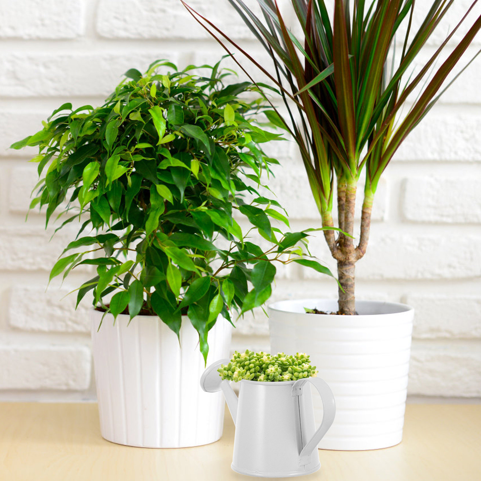 Regadera de Hierro en Miniatur - Home Office Bookshelves reseña y precio